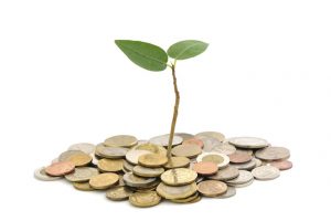endowment picture